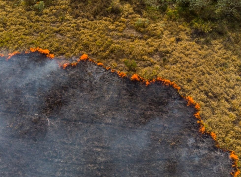 Responsabilidade ambiental dos bancos deve ser pauta prioritária na COP 26