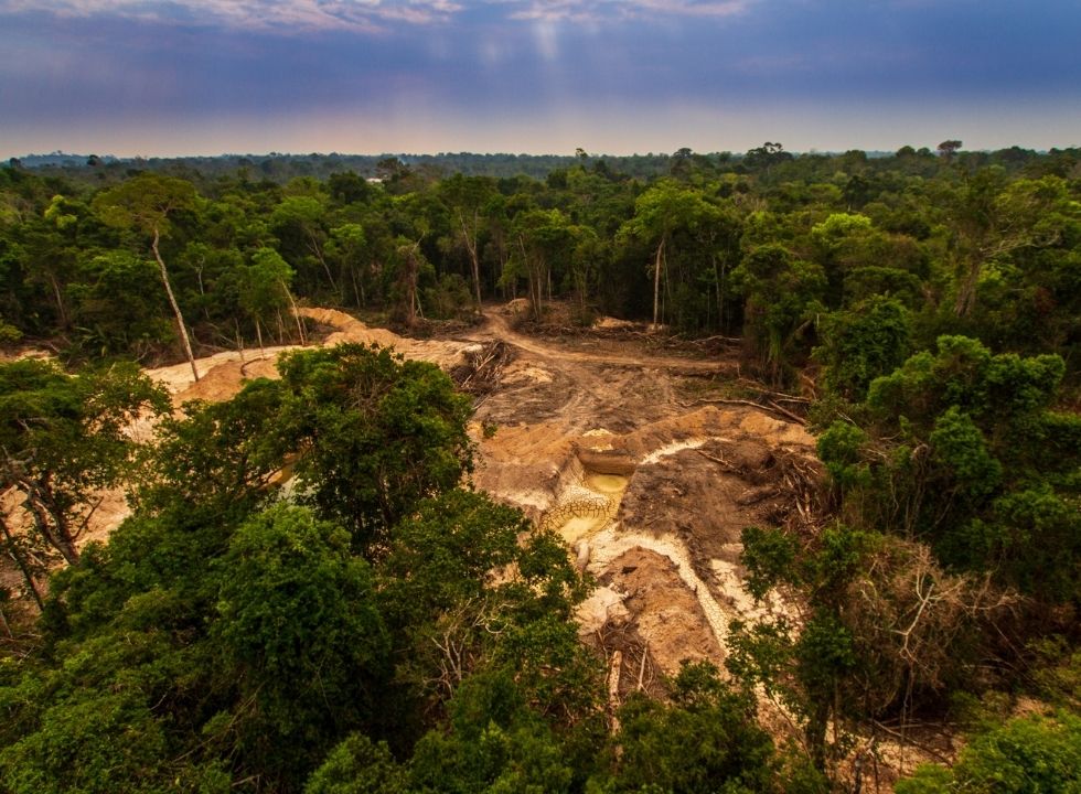 R$ 60 bi de 3 países europeus estão ligados a desmatamento no Brasil