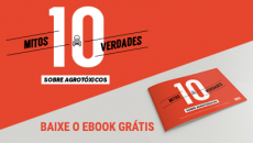 10 mitos e verdades sobre agrotóxicos