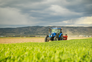 Sistemas agroalimentares: da produção ao seu prato