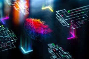 O que são dados pessoais e por que você deve se preocupar com eles