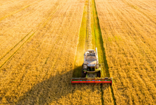 Sistemas Alimentares: o que são e como impactam sua vida?