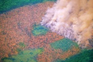 ONGs preveem onda de ações na Justiça contra Bolsonaro por queimadas