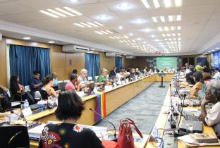 Idec reafirma importância e apoio a colegiados com participação social