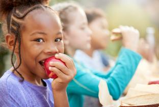 Idec aponta retrocesso em vetos à lei sobre alimentos saudáveis nas escolas de Ribeirão Preto 