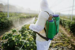 Idec aponta lacunas nos resultados do relatório da Anvisa sobre resíduos de agrotóxicos em alimentos